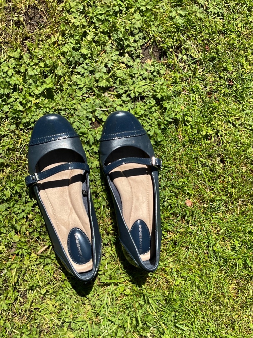 Giani Bernini, size 8.5, blue